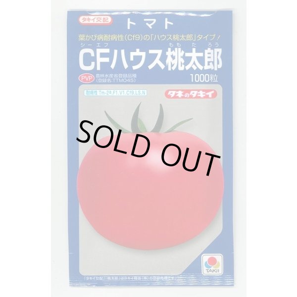 画像1: 送料無料　[トマト/桃太郎系]　CFハウス桃太郎　1000粒　タキイ種苗（株） (1)