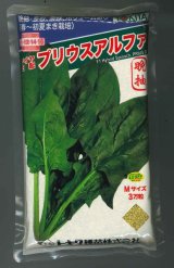 画像: ほうれんそう　プリウスアルファ　3万粒（種子サイズ：M）　トキタ種苗(株)