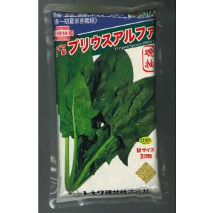 画像: ほうれんそう　プリウスアルファ　3万粒（種子サイズ：M）　トキタ種苗(株)