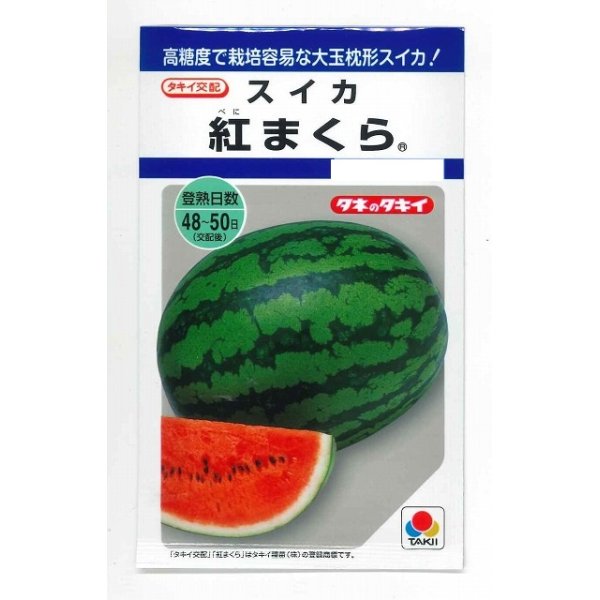 画像1: [スイカ]　大玉スイカ　紅まくら　8粒　タキイ種苗（株） (1)