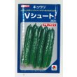 画像1: 送料無料　[キュウリ]　Ｖシュート　350粒　タキイ種苗(株) (1)
