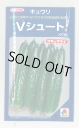 画像: 送料無料 [キュウリ] Ｖシュート 350粒 タキイ種苗(株)