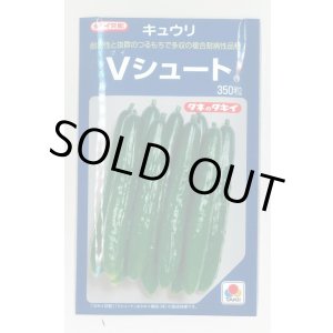 画像: 送料無料 [キュウリ] Ｖシュート 350粒 タキイ種苗(株)