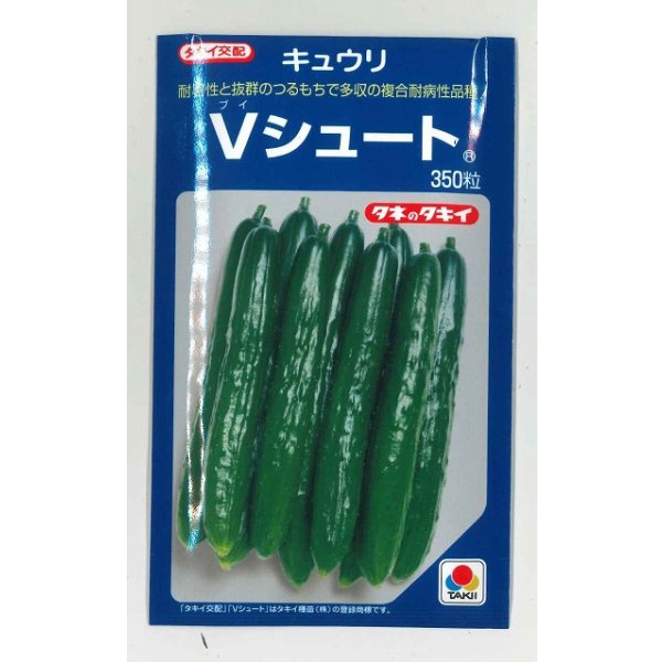 画像1: 送料無料　[キュウリ]　Ｖシュート　350粒　タキイ種苗(株) (1)
