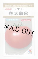画像: 送料無料　[トマト/桃太郎系]　桃太郎8　100粒　タキイ種苗(株)