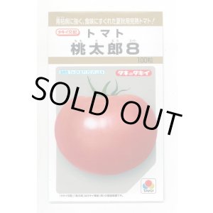 画像: 送料無料　[トマト/桃太郎系]　桃太郎8　100粒　タキイ種苗(株)