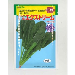 画像: ほうれんそう　エクストリーム　30ml　トキタ種苗（株）