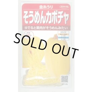 画像: 送料無料　[かぼちゃ]　そうめんカボチャ　金糸うり　約30粒　(株)サカタのタネ　実咲450（002881）