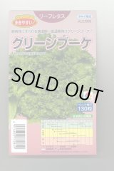 画像: 送料無料　[レタス]　グリーンブーケ　ペレット　130粒　タキイ種苗(株)