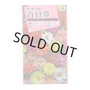 画像: 送料無料　花の種　百日草(ジニア)・ザハラダブル　ミックス　小袋　タキイ種苗(株)NL300