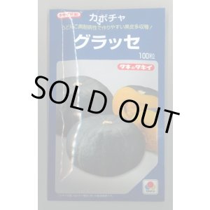 画像: 送料無料　[かぼちゃ]　グラッセ　100粒　タキイ種苗