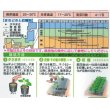 画像3: [かぼちゃ]　グラッセ　9粒　タキイ種苗　　RF (3)