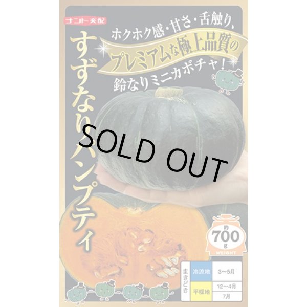 画像1: 送料無料　[かぼちゃ]　すずなりパンプティ　6粒　ナント種苗(株) (1)