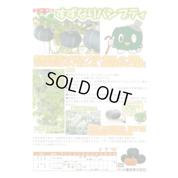 画像2: 送料無料　[かぼちゃ]　すずなりパンプティ　100粒　ナント種苗(株) (2)