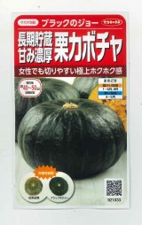 画像: 送料無料　[かぼちゃ]　ブラックのジョー　6粒　(株)サカタのタネ　実咲450（002875）