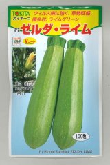 画像: 送料無料　[ズッキーニ]　ゼルダ・ライム　100粒　トキタ種苗(株)
