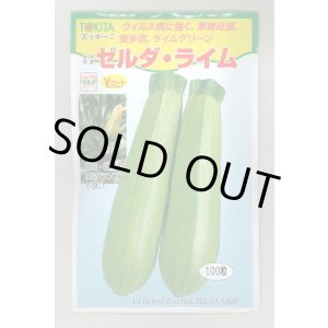 画像: 送料無料　[ズッキーニ]　ゼルダ・ライム　100粒　トキタ種苗(株)