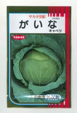 画像: 送料無料 [キャベツ] がいな 2000粒 （株）サカタのタネ