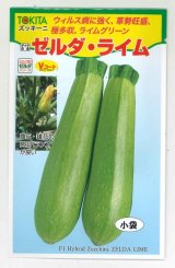 画像: 送料無料　[ズッキーニ]　ゼルダ・ライム　10粒　トキタ種苗(株)