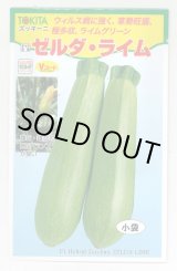 画像: 送料無料　[ズッキーニ]　ゼルダ・ライム　10粒　トキタ種苗(株)