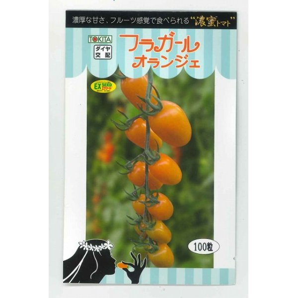 画像1: トマト種　　フラガール　オランジェ　　１００粒 (1)