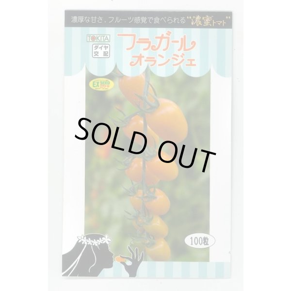 画像1: 送料無料　トマト種　フラガール　オランジェ　100粒 (1)