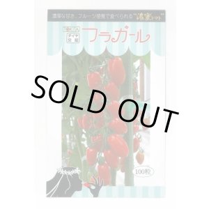 画像: 送料無料　[トマト/ミニトマト]　フラガール　100粒　トキタ種苗(株)