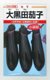 画像: 送料無料　[なす]　大黒田茄子　70粒　カネコ種苗（株）