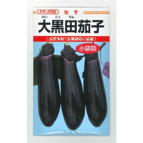画像1: 送料無料　[なす]　大黒田茄子　70粒　カネコ種苗（株） (1)