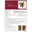 画像3: [とうもろこし]　大和ルージュ　 10ml（およそ40粒）　大和農園 (3)