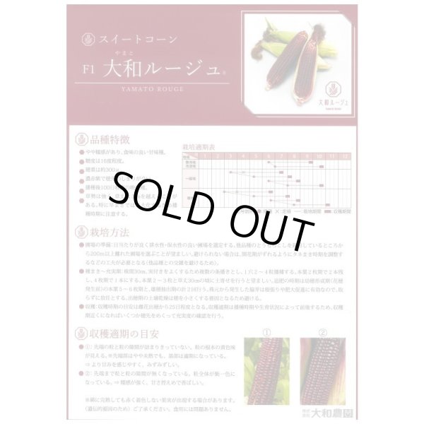 画像3: 送料無料　[とうもろこし]　大和ルージュ　10ml(およそ40粒)　（株）大和農園 (3)