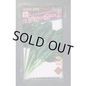 画像: ほうれんそう　ジョーカーＸ　3万粒（種子サイズ：Ｍ）　トキタ種苗(株)