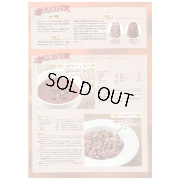 画像5: 送料無料　[とうもろこし]　大和ルージュ　10ml(およそ40粒)　（株）大和農園 (5)