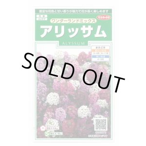 画像: 送料無料　花の種　アリッサム　ワンダーランドミックス　約43粒　(株)サカタのタネ　実咲250（102787）