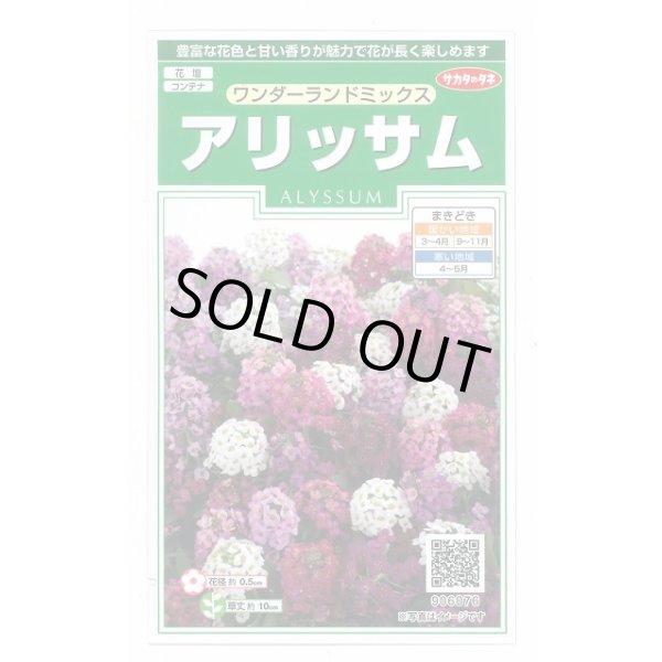 画像1: 花の種 アリッサム ワンダーランドミックス 約43粒 (株)サカタのタネ 実咲250(102787) (1)