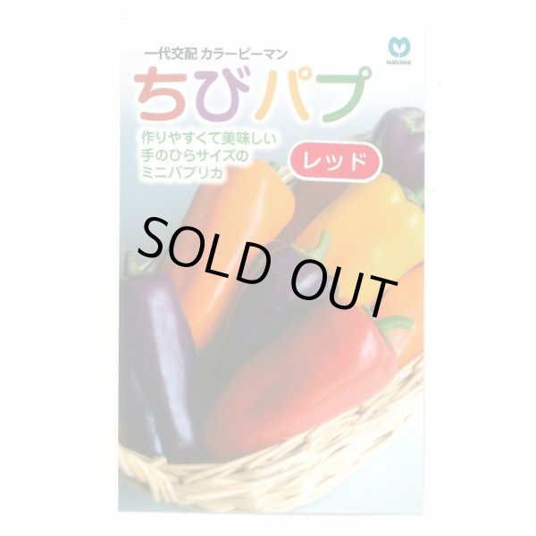 画像1: 送料無料　[パプリカ]　ちびパプ　レッド　5粒　（2025年10％増量）　丸種(株) (1)