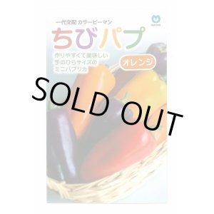 画像: 送料無料　[パプリカ]　ちびパプ　オレンジ　5粒　丸種(株)
