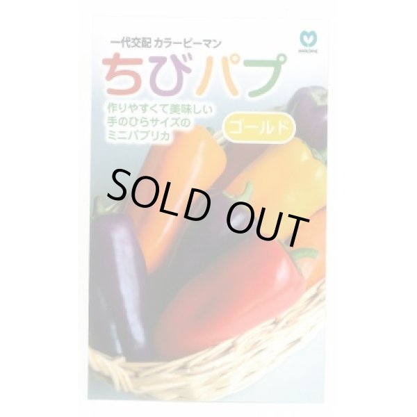 画像1: [パプリカ] ちびパプ ゴールド 100粒 丸種(株) (1)