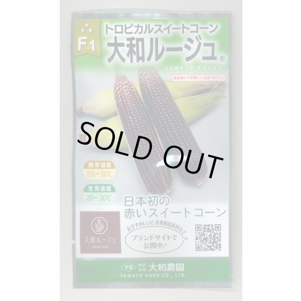 画像1: 送料無料　[とうもろこし]　大和ルージュ　10ml(およそ40粒)　（株）大和農園 (1)