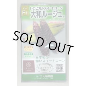 画像: 送料無料　[とうもろこし]　大和ルージュ　1dl(およそ410粒入っております。)　（株）大和農園