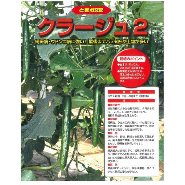 画像2: [キュウリ]　送料無料！クラージュ2　（350粒）　（株）ときわ研究場 (2)