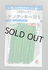 画像: 送料無料　[いんげん]　ケンタッキー101　約65粒　タキイ種苗　MF