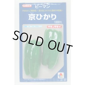 画像: 送料無料　[ピーマン]　京ひかり　1000粒　タキイ種苗(株)
