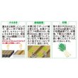 画像3: 送料無料　[レタス]　ケルン　(およそ350粒)(株)サカタのタネ　実咲350（003029） (3)
