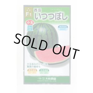 画像: 送料無料　[スイカ]　小玉スイカ　いつつぼし　7粒　大和農園