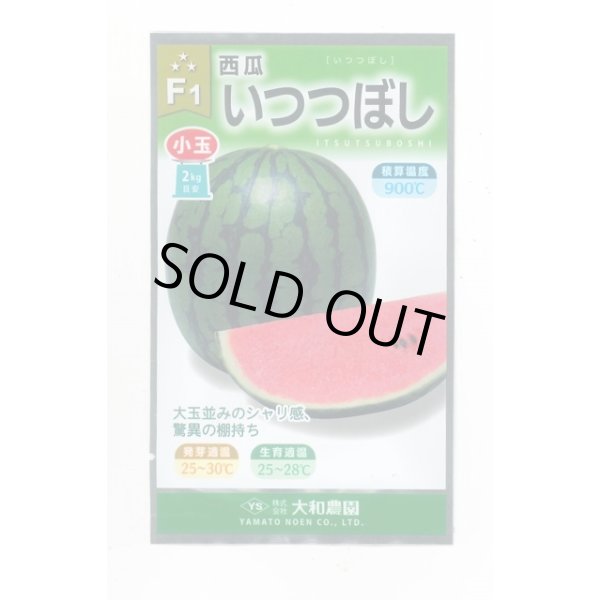画像1: 送料無料　[スイカ]　小玉スイカ　いつつぼし　7粒　（株）大和農園 (1)