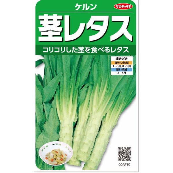 画像1: 送料無料　[レタス]　ケルン　(およそ350粒)(株)サカタのタネ　実咲350（003029） (1)