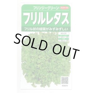 画像: 送料無料　[レタス]　フリンジーグリーン(フリルレタス)およそ1200粒　(株)サカタのタネ　実咲350（003036）