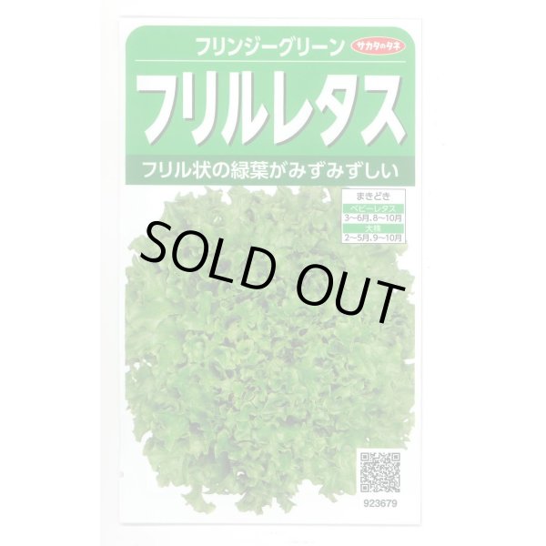 画像1: 送料無料　[レタス]　フリンジーグリーン(フリルレタス)およそ1200粒　(株)サカタのタネ　実咲350（003036） (1)