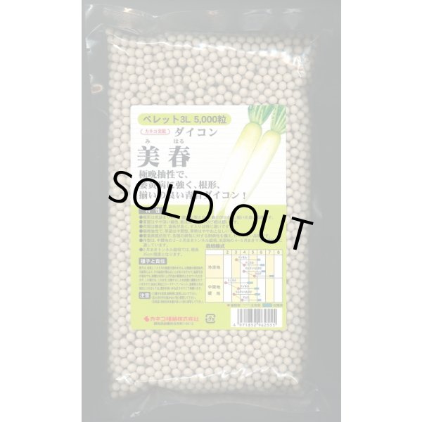 画像1: [大根]　美春　ペレット種子5000粒　カネコ種苗（株） (1)